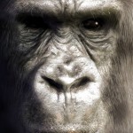 ape